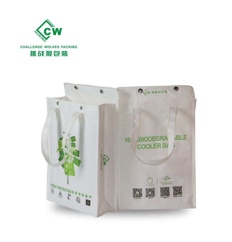 Eco Friendly Non Woven Bag with Printing