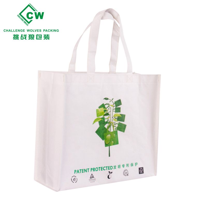 PLA Biodegradable Non Woven Bags